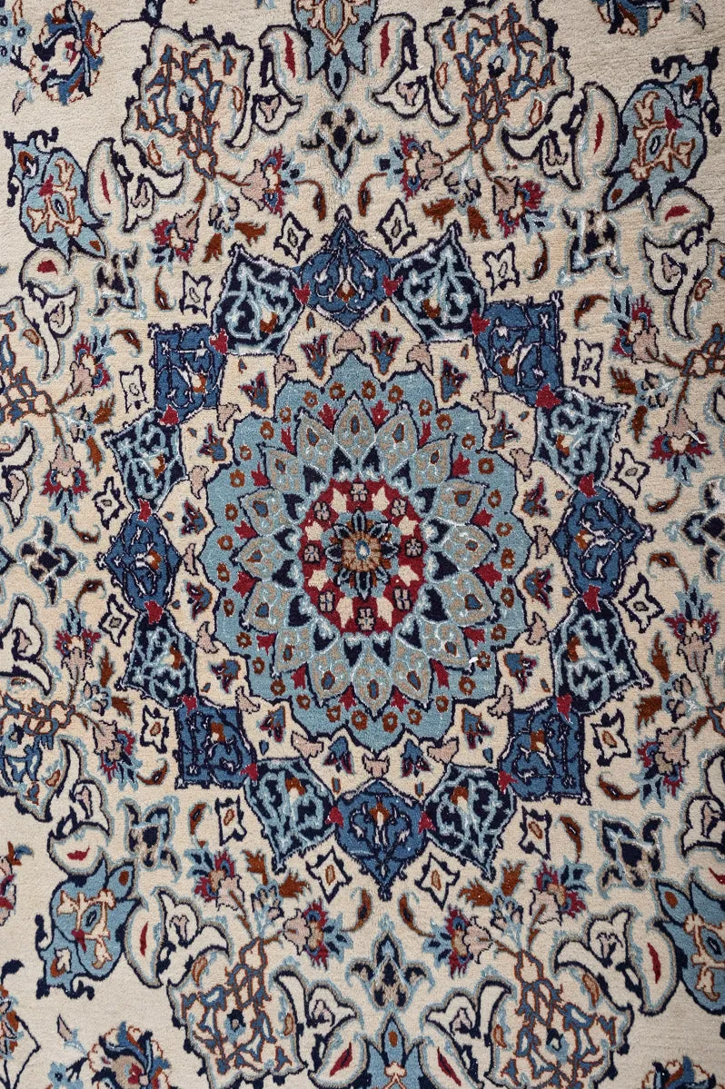 DANDY Nain 9La 680x380cm