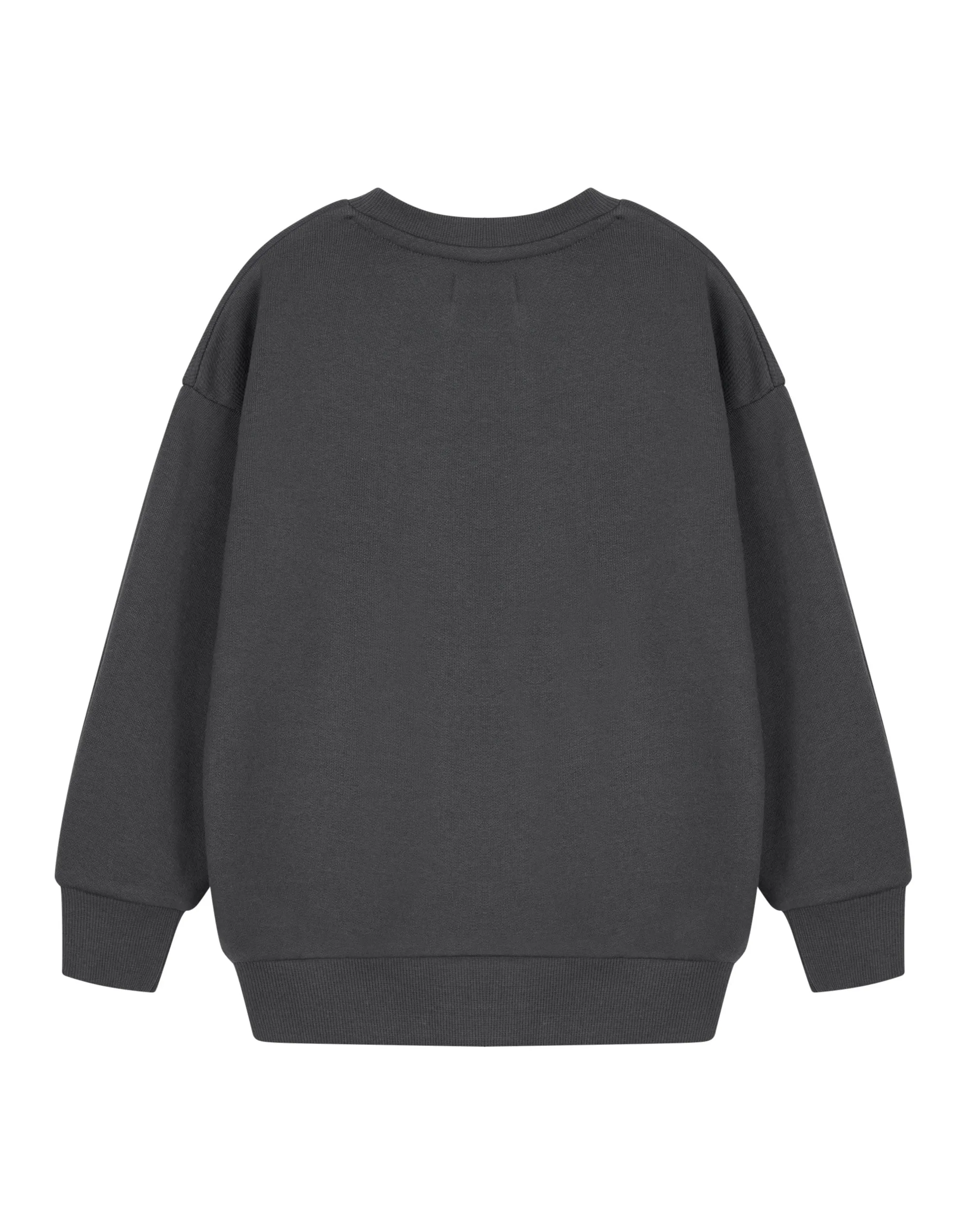 Teenage Mutant Ninja Turtles Have A Slice Day Boys Grey Sweatshirt